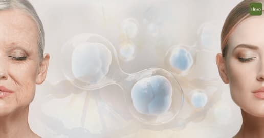 Exosome Serum: A Revolutionary Product or another Skincare Fad?